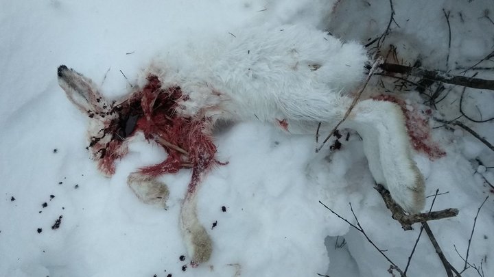 IMG_20190131_091445.jpg