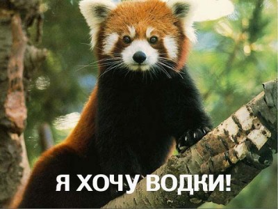 1200043755_img_2119519_405_6.jpg
