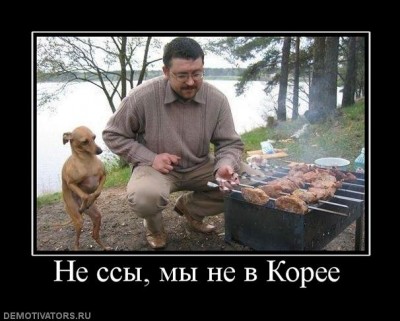 101767_-ne-ssyi-myi-ne-v-koree-.jpg