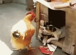3747401.gif