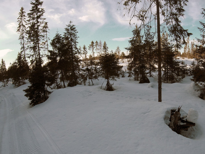 20190331173721_0007.jpg