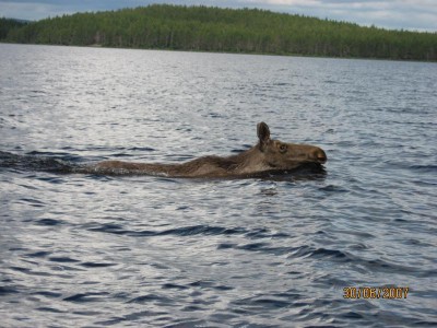 Правда не осень и не совсем 2010