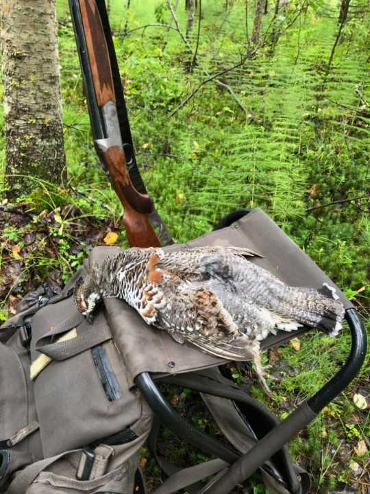 Первый подлетел.jpeg (206.09 КБ) 3315 просмотров Первый подлетел