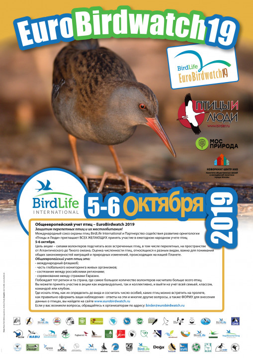 EuroBirdWatch_2019_poster.jpg