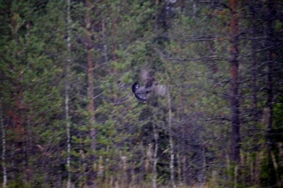 IMG_5809o.JPG