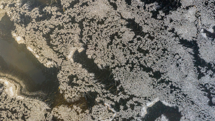 DJI_0947.jpg