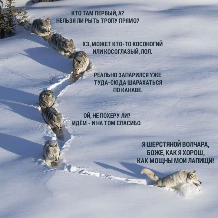 гы.jpg