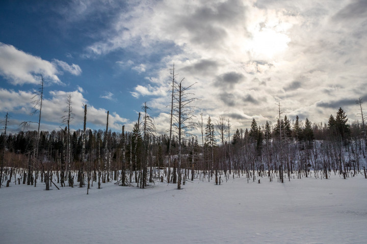 AK1I8145.jpg