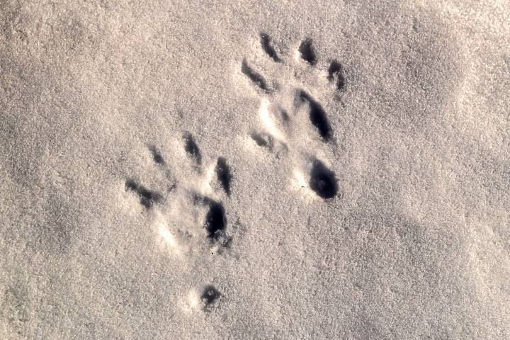 AK1I8117.jpg