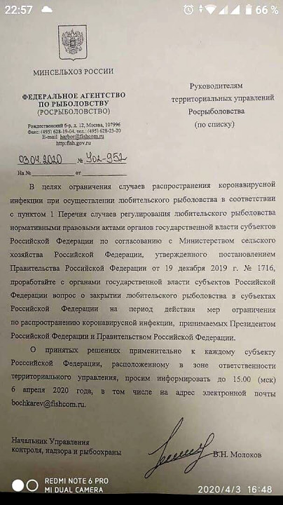 92129929.jpg