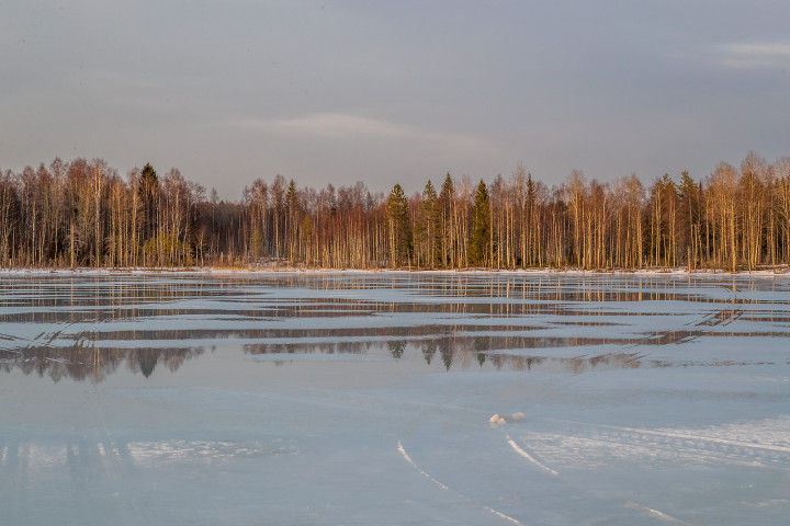 AK1I0809.jpg