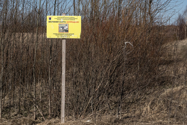 AK1I4935.jpg