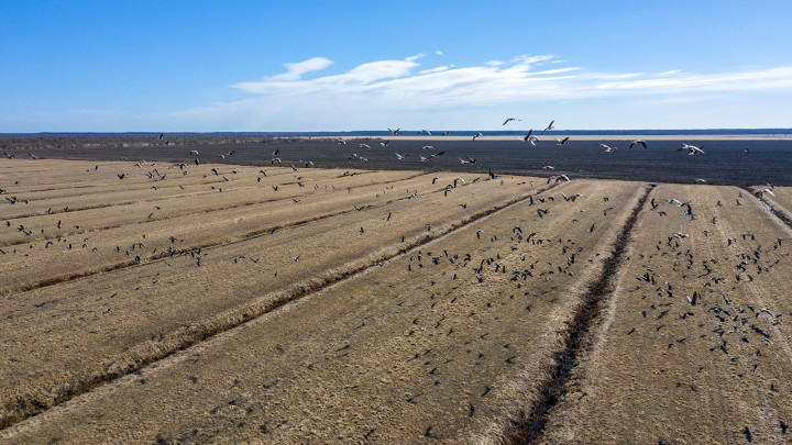 DJI_0485.jpg