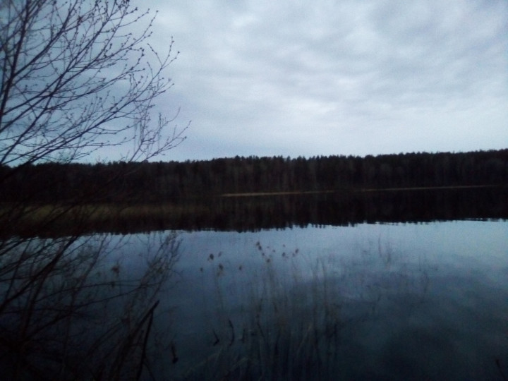 пейз4.jpg