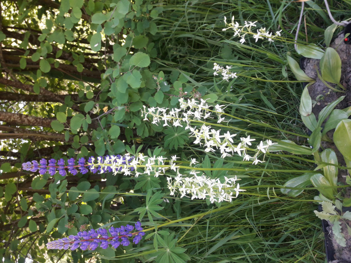 20200621_113754.jpg