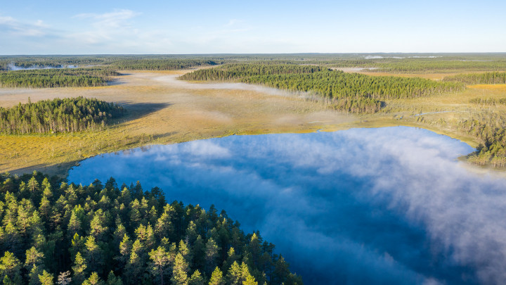 DJI_0255.jpg