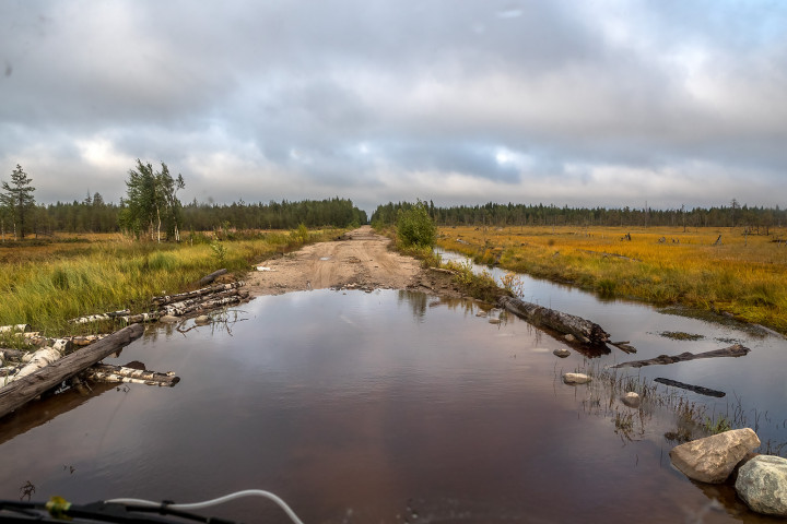 AK1I9584.jpg