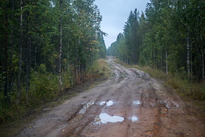 AK1I9591.jpg