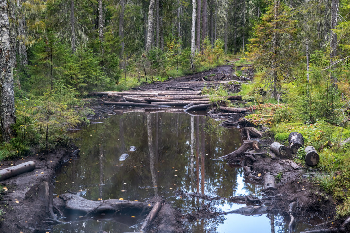 AK1I9787.jpg