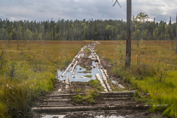 AK1I9803.jpg
