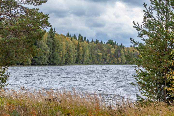 AK1I0326.jpg