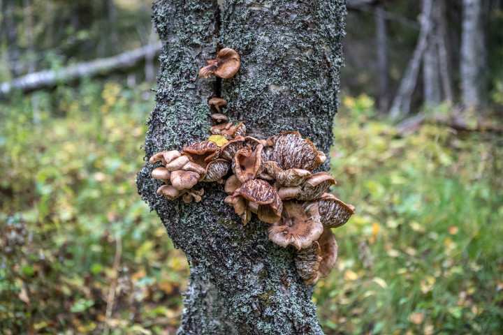 AK1I0353.jpg