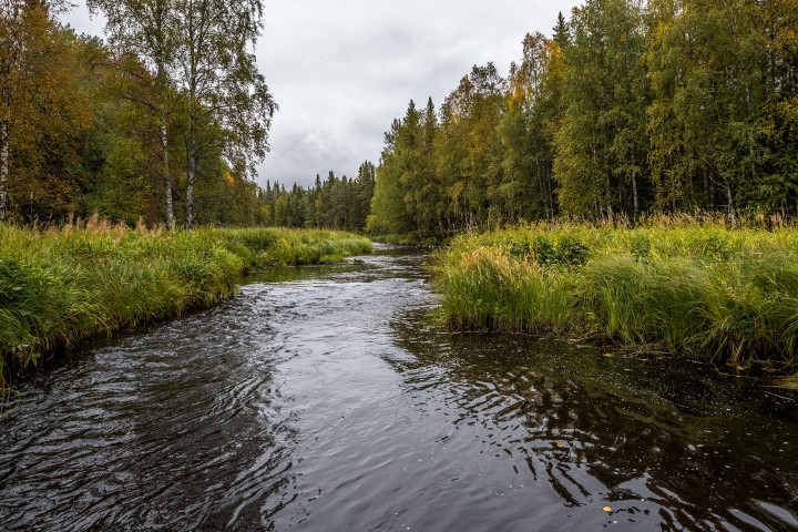 AK1I0807.jpg