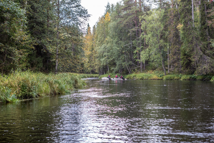 AK1I0874.jpg