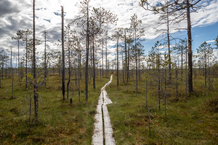 AK1I0983.jpg