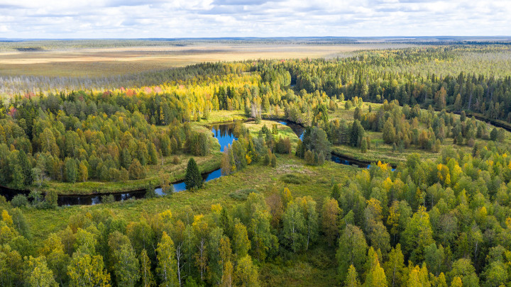 DJI_0705.jpg
