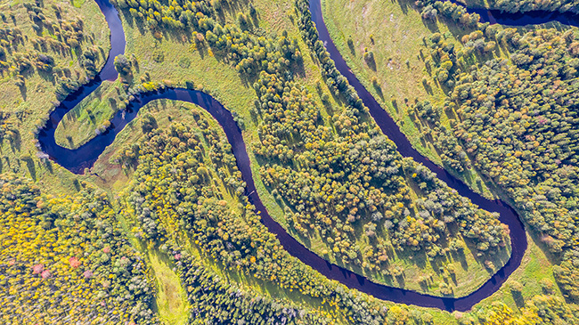 DJI_0736-650.jpg