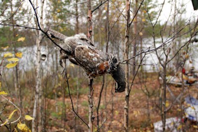 IMG_1133.jpg
