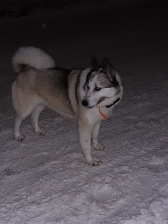 IMG-96e97650c05e495743e07463ba0bebea-V.jpg (199.34 КБ) 15735 просмотров IMG-96e97650c05e495743e07463ba0bebea-V.jpg