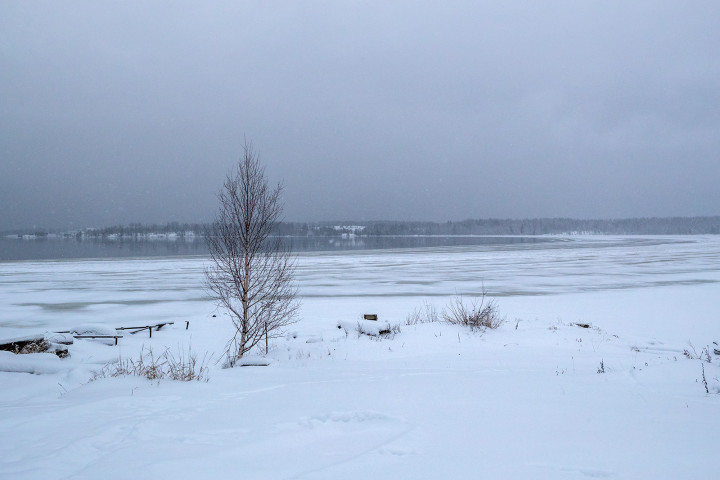 AK1I2589.jpg