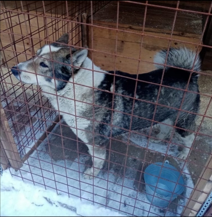 Screenshot_20210322_225012.jpg (388.99 КБ) 15299 просмотров Screenshot_20210322_225012.jpg