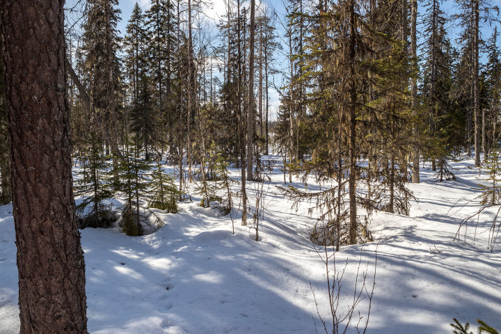 AK1I5465.jpg