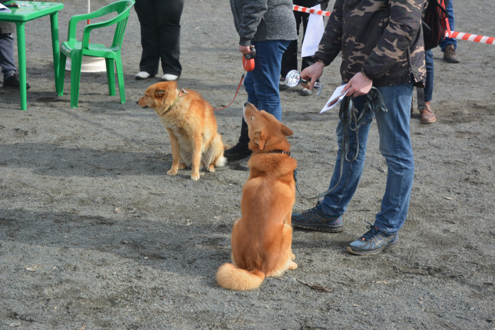 DSC_0487.JPG