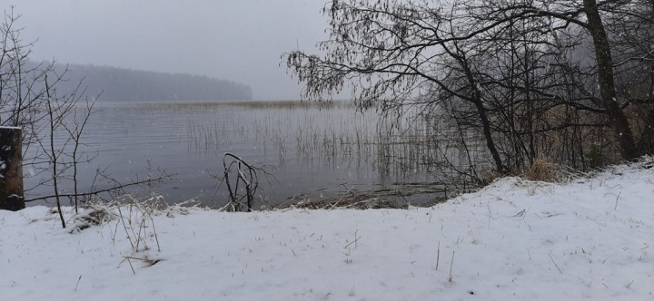 20210506_142037.jpg