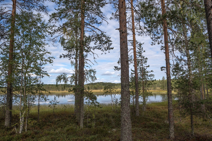 AK1I2264.jpg