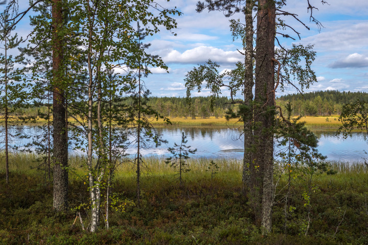 AK1I2258.jpg