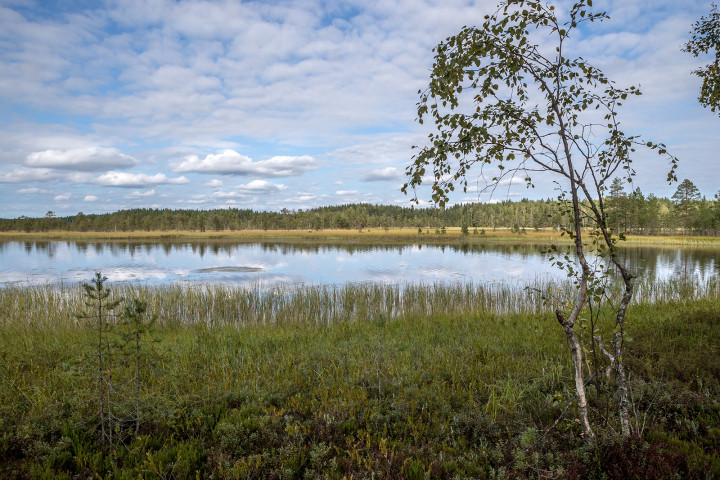 AK1I2288.jpg