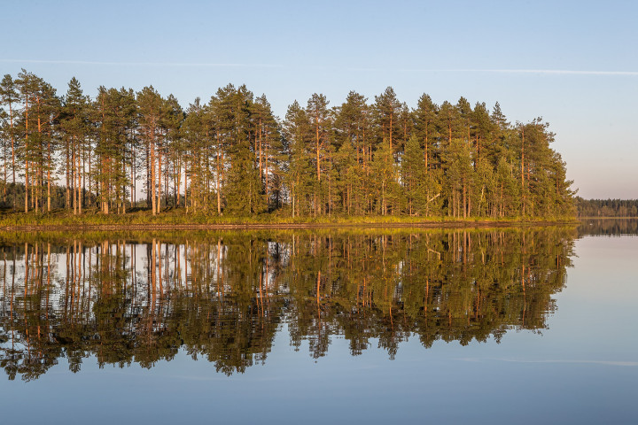 AK1I2798.jpg