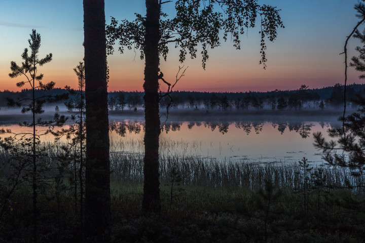 AK1I3469.jpg