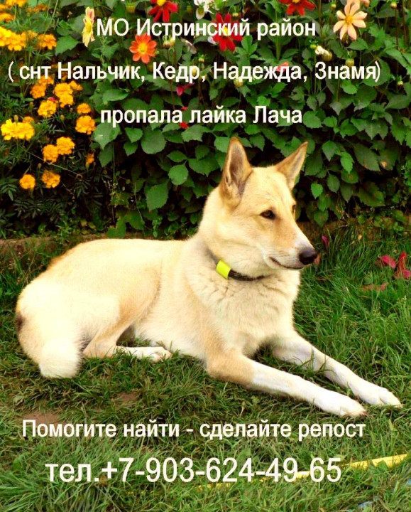 15 июня Лача  (1).jpg