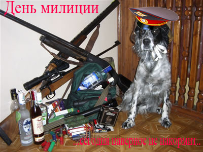 171.jpg
