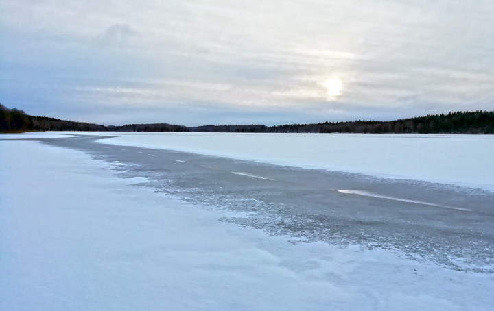 IMG_20211128_120107.jpg