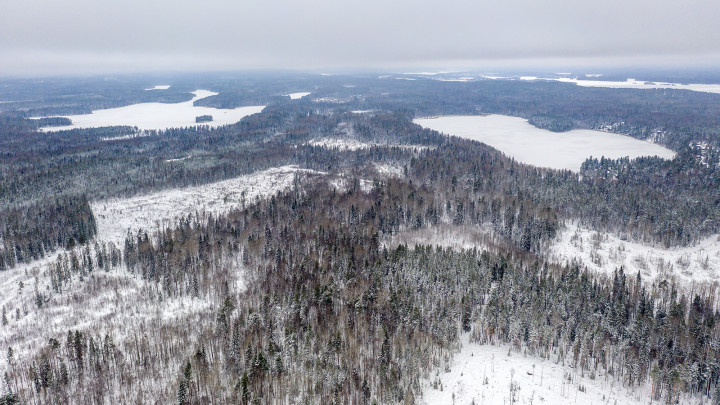 DJI_0918.jpg