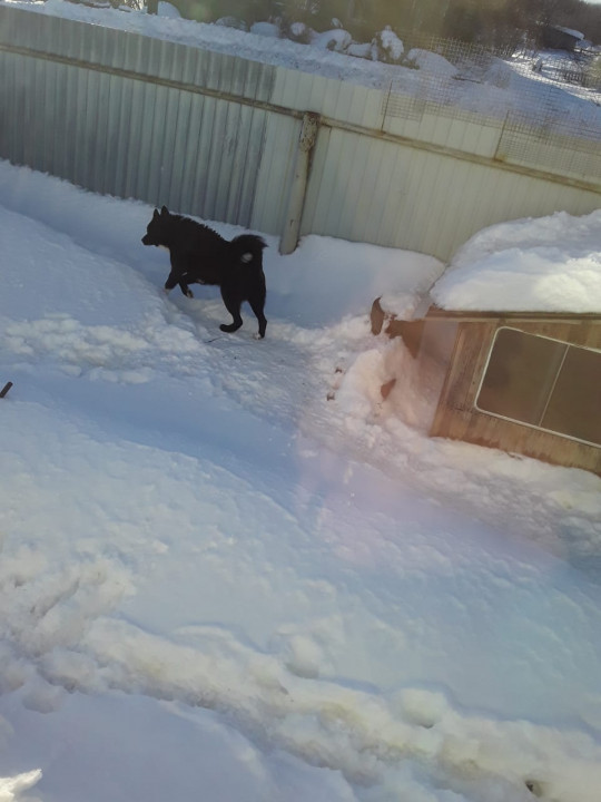 IMG-20220301-WA0000.jpg