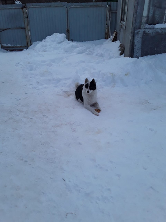 IMG-20220301-WA0001.jpg