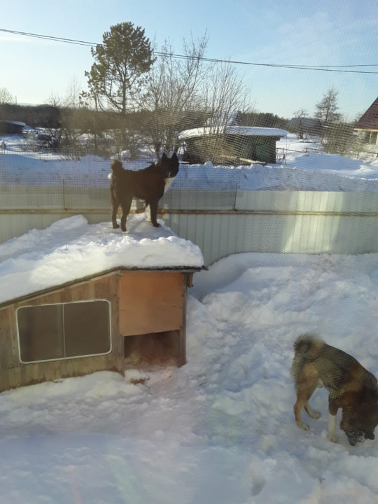 IMG-20220301-WA0003.jpg
